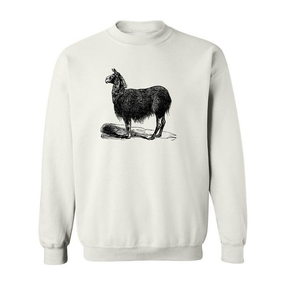 Llama Pencil Drawing Sweatshirt Men -Image by Shutterstock, Male 4X-Large