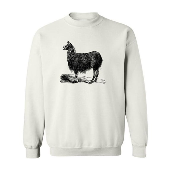 Llama Pencil Drawing Sweatshirt Men - Men Sweatshirt, White, Small
