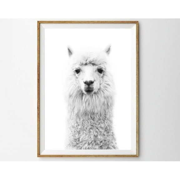 Llama Print Alpaca Print Black And White Boho Decor Boho Nursery Animal Nursery Llama Nursery Art Farm Animal Prints Lama Print Wall Art, Modern Wall Decor, 16x24 UNFRAMED