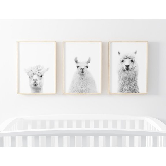 Llama Print Set Boho Nursery Decor Alpaca Animal Llama Poster Art Set 3 Unframed Paper Print 16x24