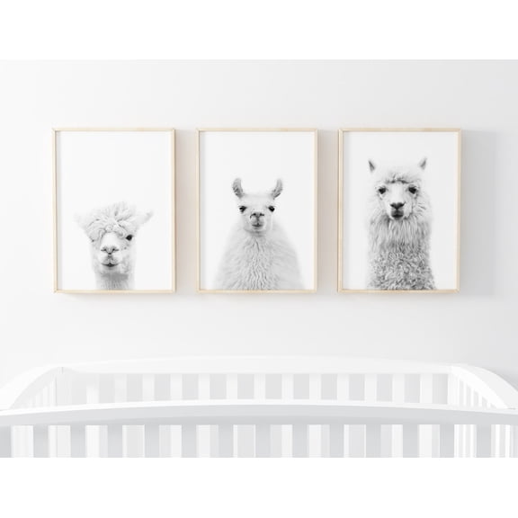 Llama Print Set Boho Nursery Decor Alpaca Animal Llama Poster Art Set 3 Unframed Paper Print 20x30