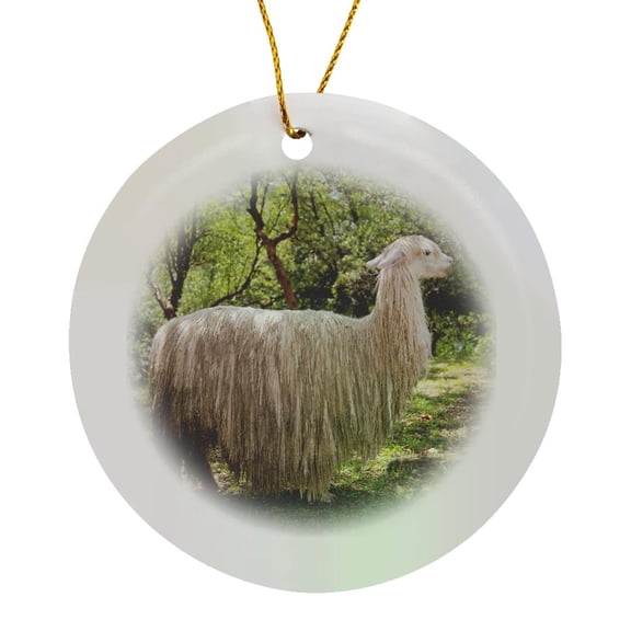 3drose, Llama, Saksaywaman, Incan Archaeological Site, Cusco, Urubamba, Peru, Circle Porcelain Ornament