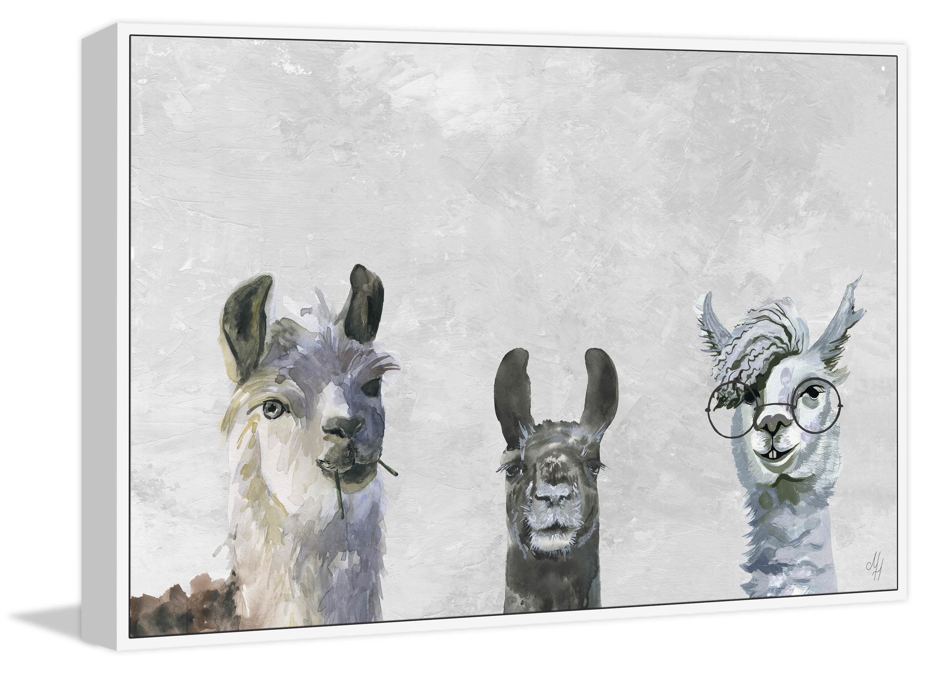 Llama Squad II Floater Framed Painting Print on Canvas