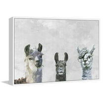 Llama Squad II Floater Framed Painting Print on Canvas