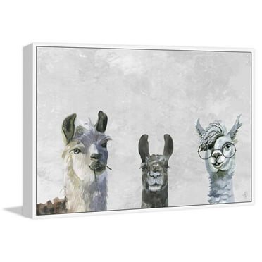 Llama Squad II Floater Framed Painting Print on Canvas