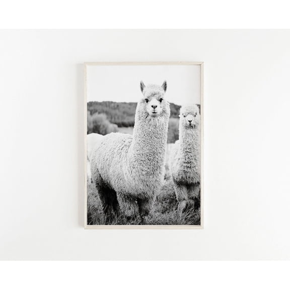 Llama Wall Art Boho Decor Black and White Animal Poster Nursery Alpaca Decoration, Unframed Canvas 24x36in