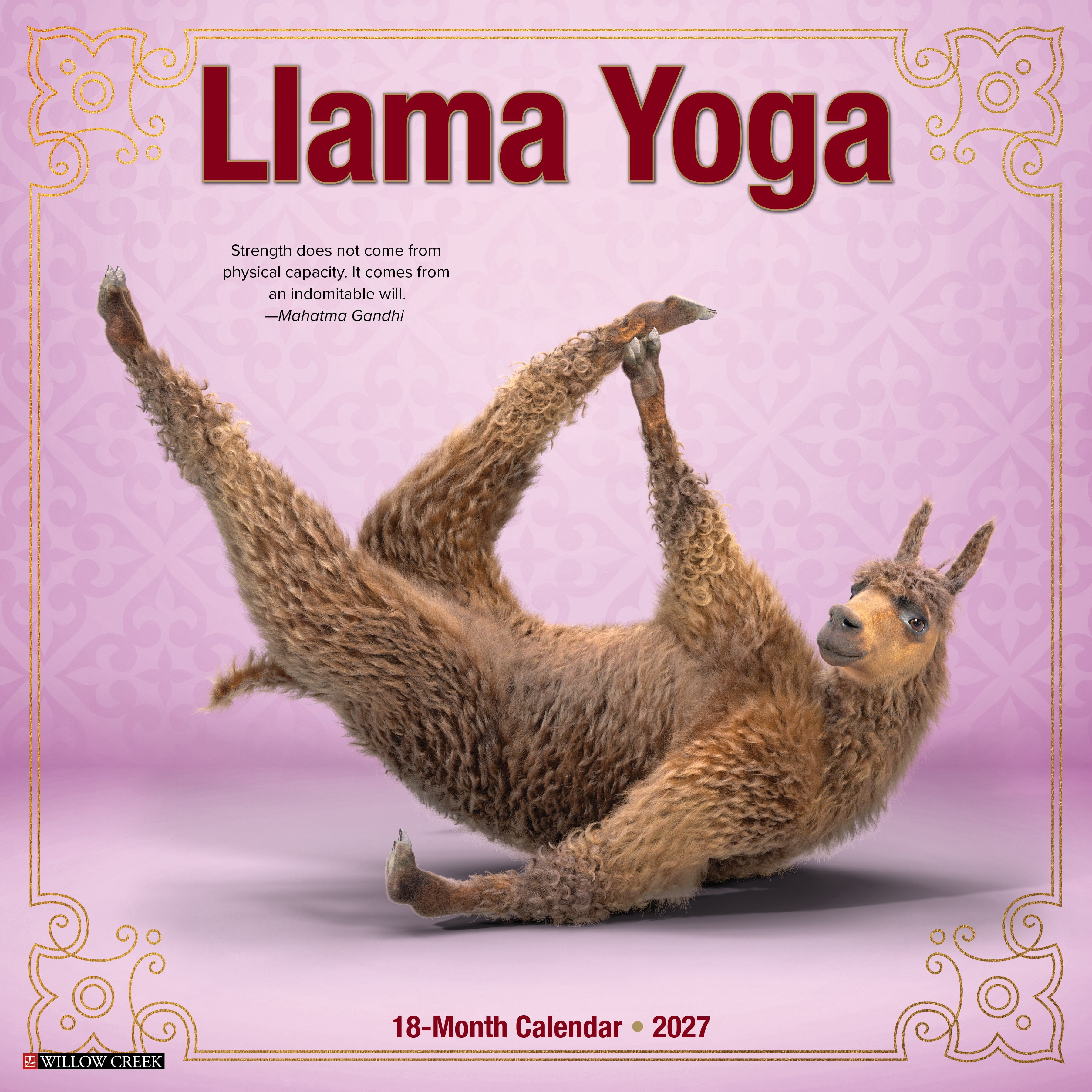 Willow Creek Press, Llama Yoga 2027 Wall Calendar
