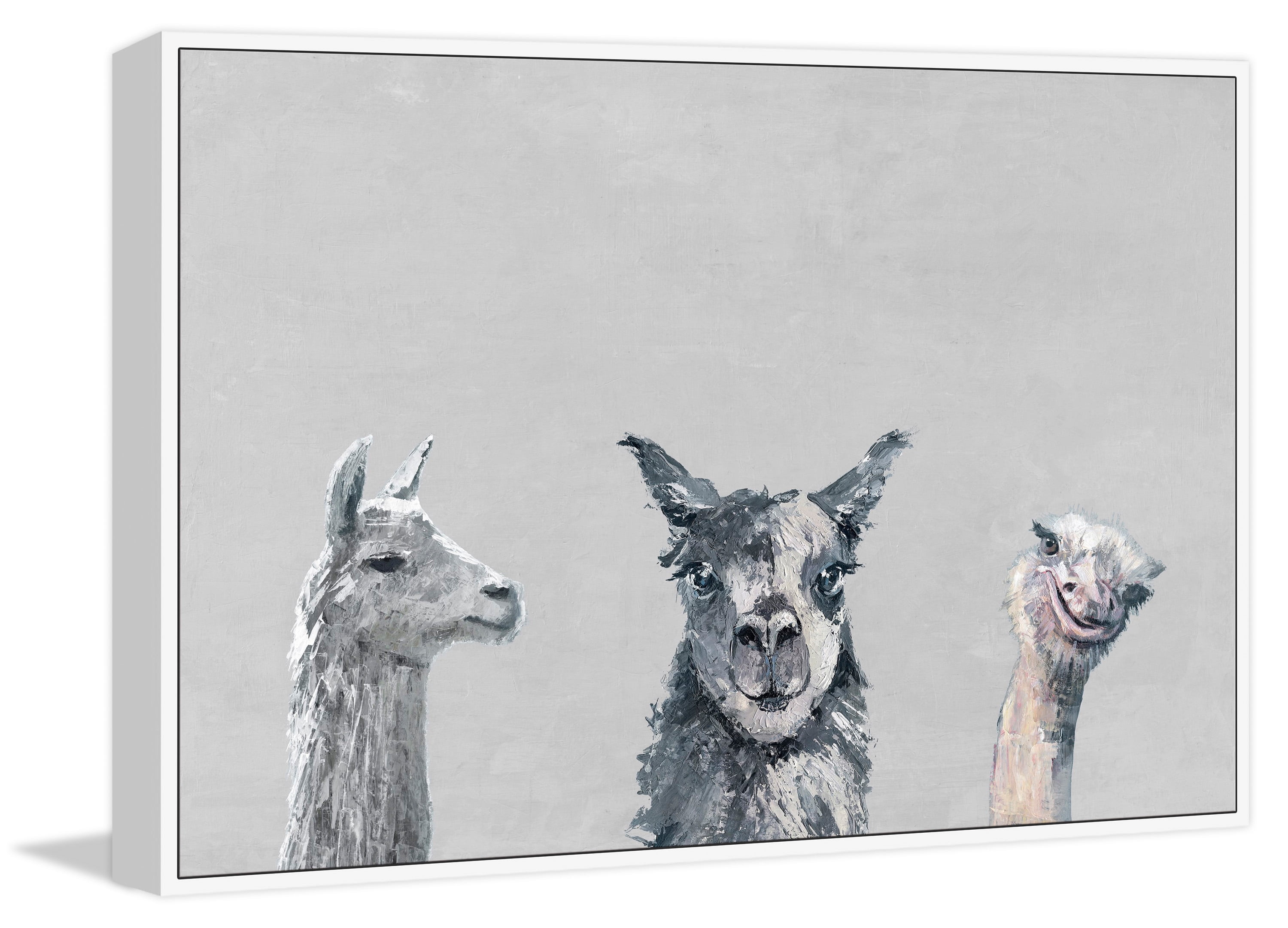 Llama and Ostrich Groove in Gray Floater Framed Painting Print on Canvas