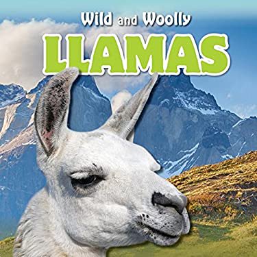 Pre-Owned Llamas Wild and Woolly Library Binding Lori MacDhui