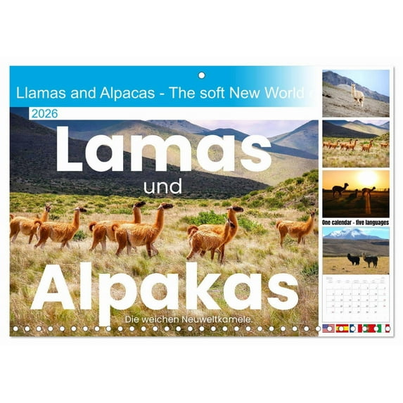 Llamas and Alpacas - The soft New World camels. (Monthly Wall Calendar 2026 16.5 x 23.4 (open)), CALVENDO 14 Month Calendar