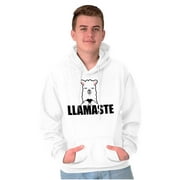 Llamaste Namaste Spiritual Llama Hoodie Sweatshirt Women Men Brisco Brands 3X