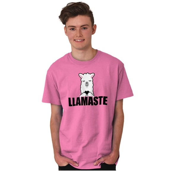 Llamaste Namaste Spiritual Llama Plus Size Crewneck Graphic Tee Shirt Brisco Brands 2X