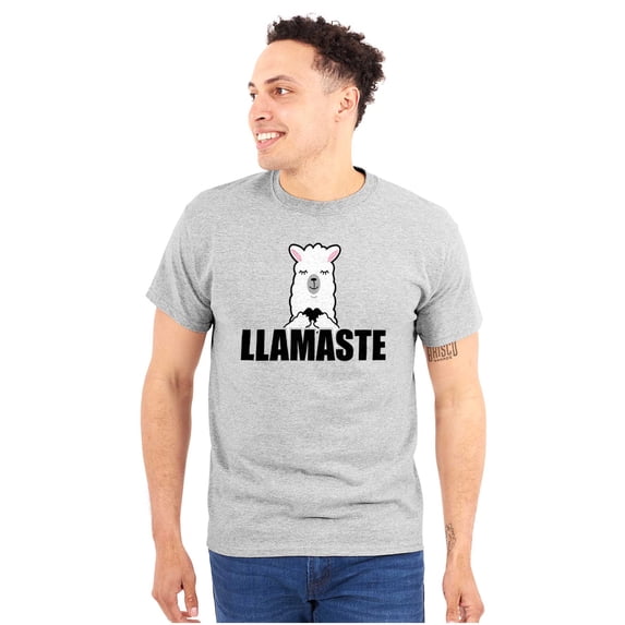 Llamaste Namaste Spiritual Llama Plus Size Crewneck Graphic Tee Shirt Brisco Brands 4X