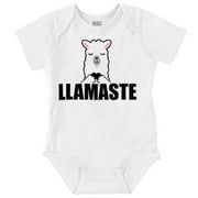 Llamaste Namaste Spiritual Llama Romper Boys or Girls Infant Baby Brisco Brands 6M