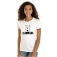 thumbnail image 1 of Llamaste Namaste Spiritual Llama Womens Fitted Plus Size Graphic Tee Brisco Brands 3X, 1 of 5
