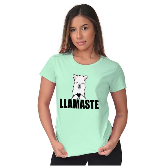 Llamaste Namaste Spiritual Llama Women's T Shirt Ladies Tee Brisco Brands 2X
