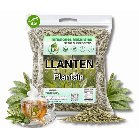 Llanten Herbal Tea (4 oz) 100% Natural Plantain Leaf (Plantago major) Traditional Soothing & Vitality Infusion Wildcrafted Loose Leaf Caffeine-Free, Vegan, Non-GMO Authentic by BEXPERTSUSA