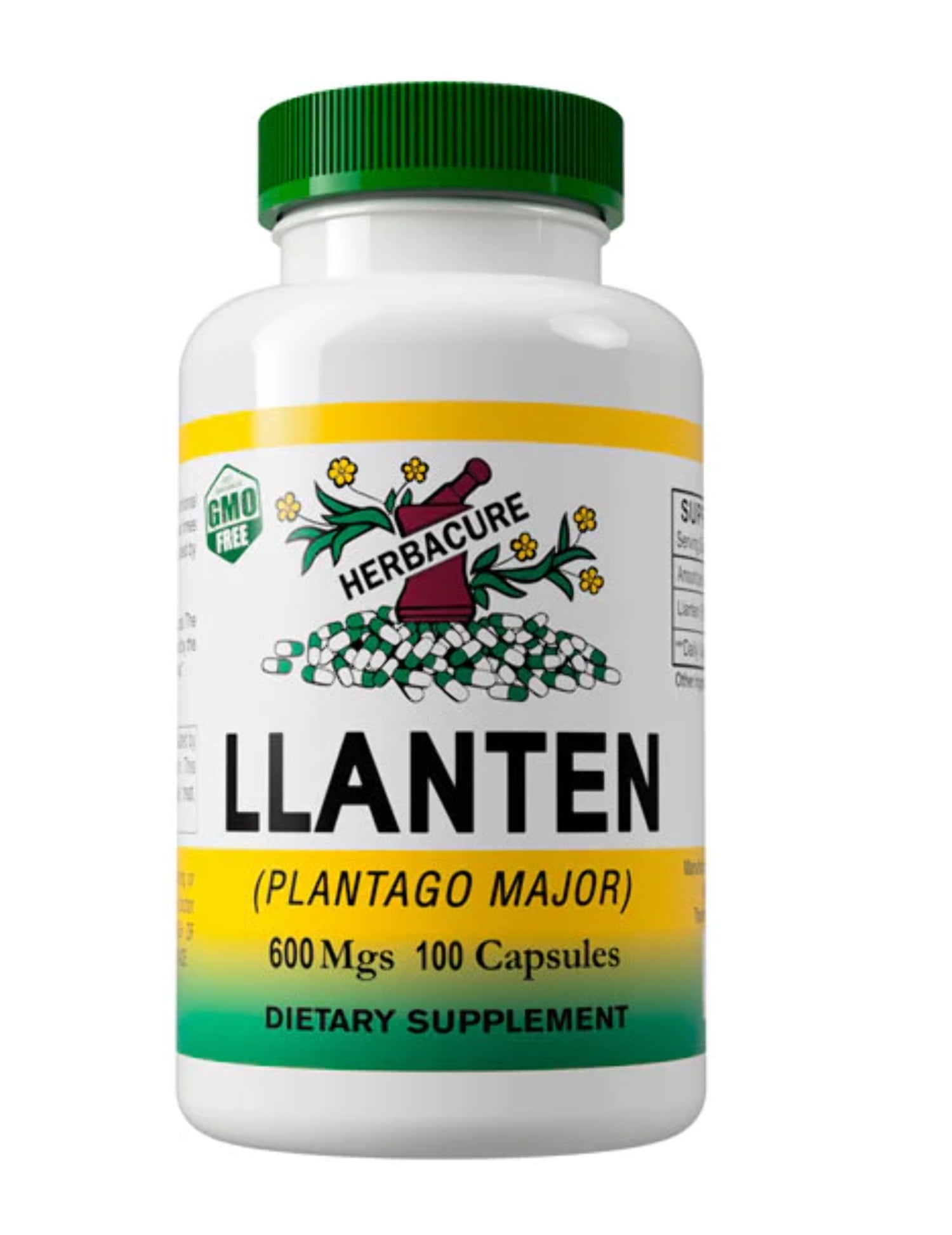  Plantain Leaf, 3 oz., Te de Llanten , LLanten Leaves