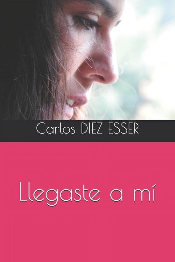 Llegaste a m, (Paperback)