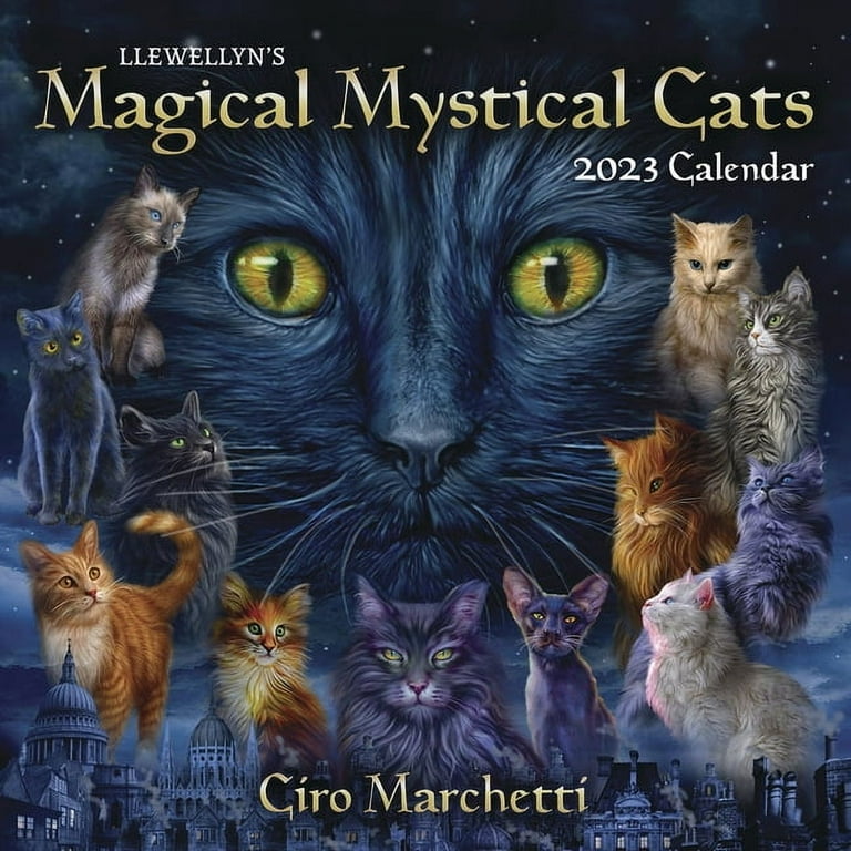 Llewellyn's 2025 Magical Mystical Cats Calendar A Book By Llewellyn And SheBlackDragon
