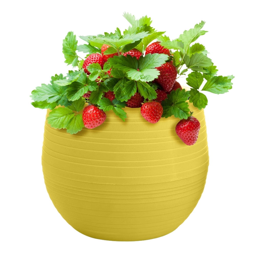 Lloopyting Yellow planter Yellow mini planter decorations Yellow flower ...