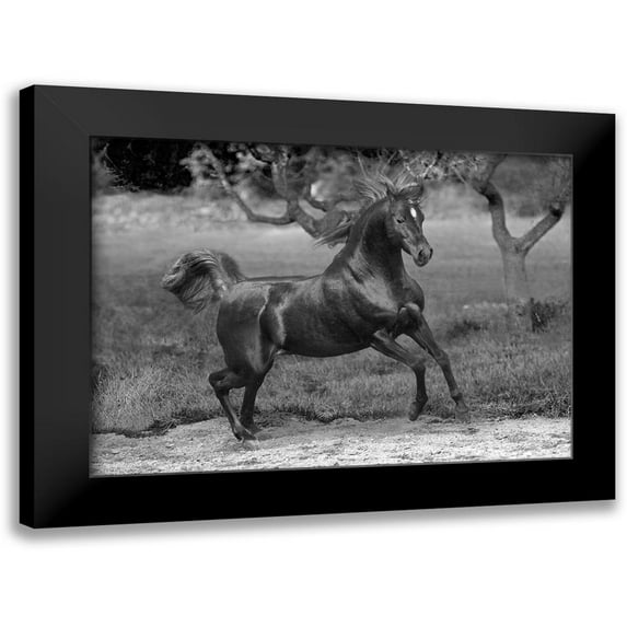 Llovet, Jorge 14x11 Black Modern Framed Museum Art Print Titled - Feeling Free