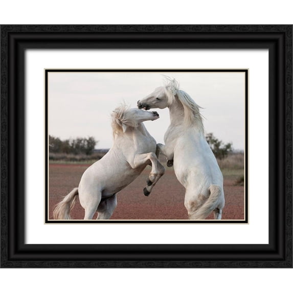 Llovet, Jorge 14x12 Black Ornate Wood Framed with Double Matting Museum Art Print Titled - Male Competition