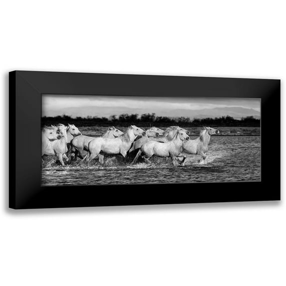 Llovet, Jorge 14x8 Black Modern Framed Museum Art Print Titled - Enjoying the Sea