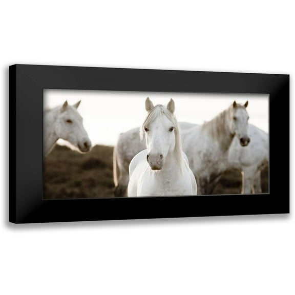 Llovet, Jorge 14x9 Black Modern Framed Museum Art Print Titled - Horse Meeting