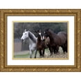 thumbnail image 1 of Llovet, Jorge 24x17 Gold Ornate Wood Framed with Double Matting Museum Art Print Titled - Threes Company, 1 of 4