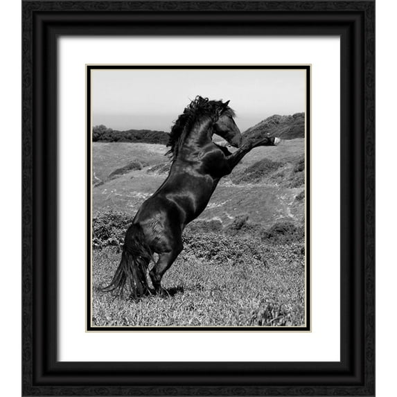 Llovet, Jorge 26x30 Black Ornate Wood Framed with Double Matting Museum Art Print Titled - Horse Freedom-Horse at Liberty