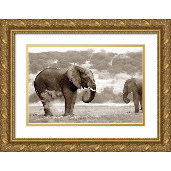 Llovet, Jorge 32x23 Gold Ornate Wood Framed with Double Matting Museum Art Print Titled - Bath Time