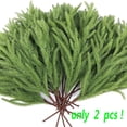thumbnail image 1 of LmnLft Real Touch Norfolk Pine Branch, Christmas Norfolk Stems, Faux Greenery Stem Fake Cedar Pine Picks for Vase DIY Crafts, Artificial Plants Branches for Xmas Garland Home Decor, 1 of 7