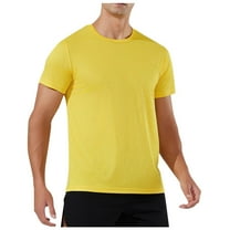 Lmnyox Sport T Shirts Men's Short Sleeve Crew Neck Quick Dry Athletic Tee Lightweight Stretchy Running Tops