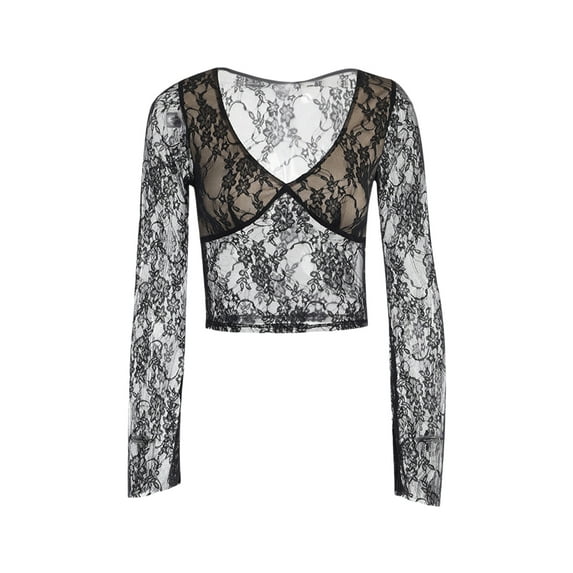 Lnzyyephy Women Lace Crop Tops Fairy Grunge V Neck See Through Sheer Mesh T Shirt Punk Slim Fit Long Sleeve Shirt