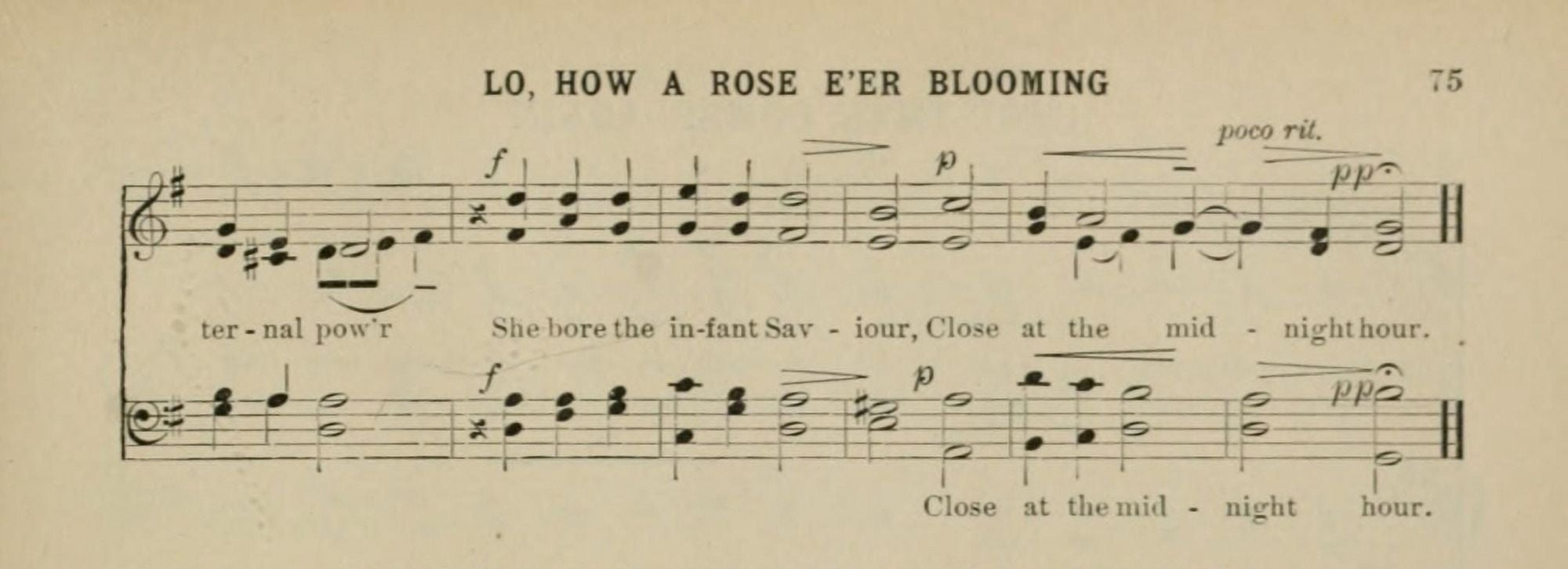Lo How a Rose Eer Blooming 2 Michael Praetorius (1571-1621) Christmas Carols 1910 Canvas Art - (24 x 36)