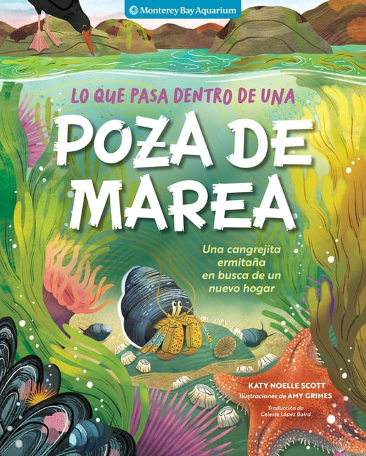 Lo Que Pasa Dentro de Una Poza de Marea: Una Cangrejita ErmitaÃ±a En Busca de Un Nuevo Hogar, (Hardcover)