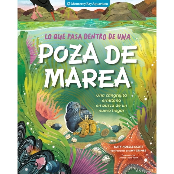 Lo Que Pasa Dentro de Una Poza de Marea: Una Cangrejita Ermitaa En Busca de Un Nuevo Hogar, (Paperback)