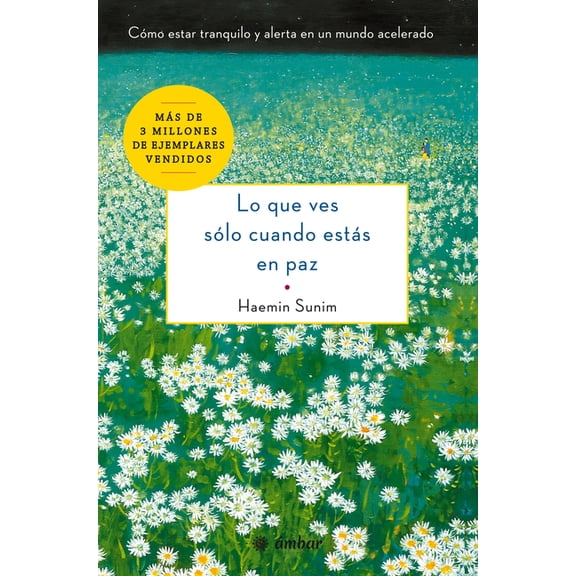 Lo Que Ves Slo Cuando Ests En Paz: Cmo Estar Tranquilo Y Alerta En Un Mundo Acelerado, (Paperback)