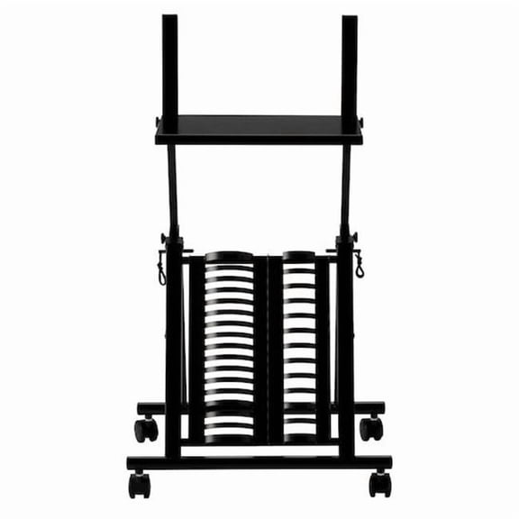 LoDuca Bros 46117 Height Adjustable Karaoke Stand with CD & Tape Storage