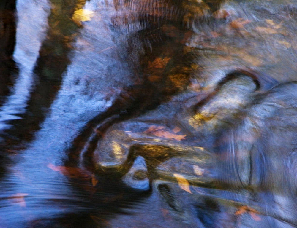 Loa Massachusetts Seekonk Caratunk Wildlife Refuge Water Patterns Reflections And Leaves Canvas Art - Joanne Baldaia Design Pics (16 x 12)