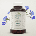 thumbnail image 1 of HerbEra Lobelia Capsules, Herbal Dietary Supplement for Respiratory Support, Lobelia (Lobelia Inflata) Dried Herb Capsules, Natural, 120 Capsules, 1 of 6
