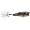 thumbnail image 1 of Lobina Lures Rio Rico Baits, 1 of 5