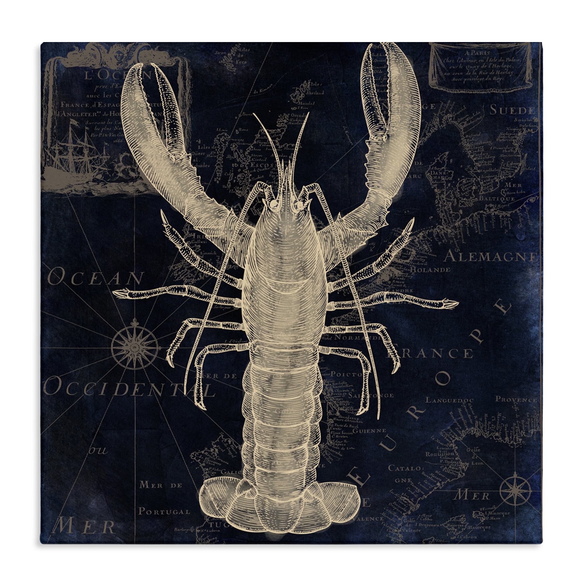 Lobster Contour over Map Canvas Wall Art, design by Sasha