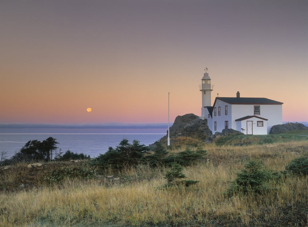 Lobster Cove Head Newfoundland Canada Canvas Art - Darwin Wiggett Design Pics (16 x 12)