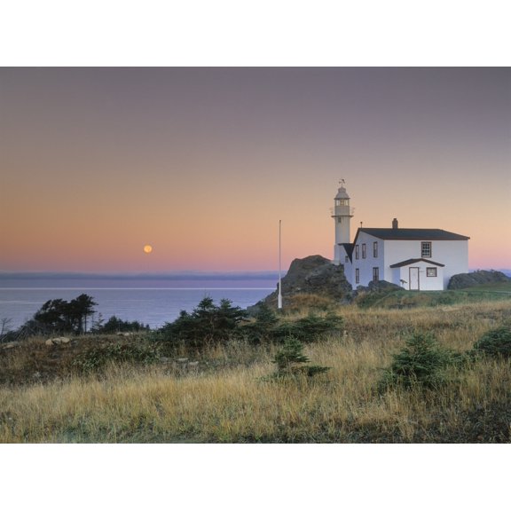 Lobster Cove Head Newfoundland Canada Canvas Art - Darwin Wiggett Design Pics (16 x 12)