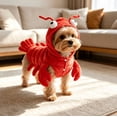 thumbnail image 1 of Lobster Dog Halloween Costume Hooded Sea Creature Pet Dress Up Soft Polyester Snap Button Outfit for Dachshund Small Medium Dogs M, 1 of 8