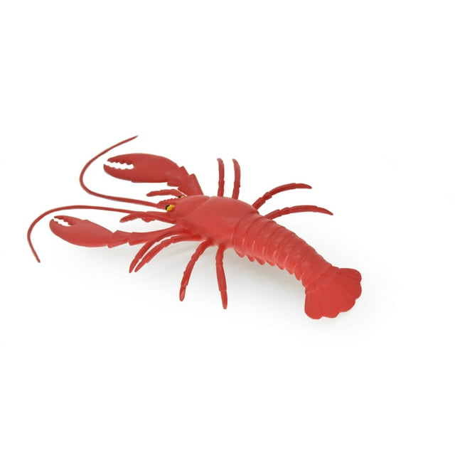 Lobster, East Coast, Maine, Red, Hard Plastic Crustaceans, Educational ...