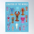 thumbnail image 1 of Lobsters Of The World Poster Wall Art, Modern Wall Decor For Living Room Bedroom, 24x36 UNFRAMED, 1 of 2
