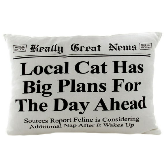 Local Cat Has Big Plans Funny Throw Pillow Cat Lovers Gifts, Cat Accessories